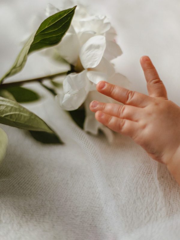 Crop view of caucasian cute baby child hand and face with tender white peony lying on white blanket. Tiny girl with fresh flower. Happy childhood for adopted. Concept of true love and american dream.